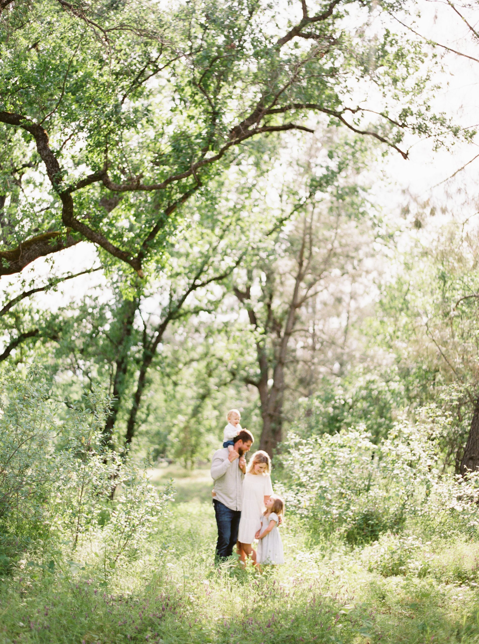 Northern California Family Photography