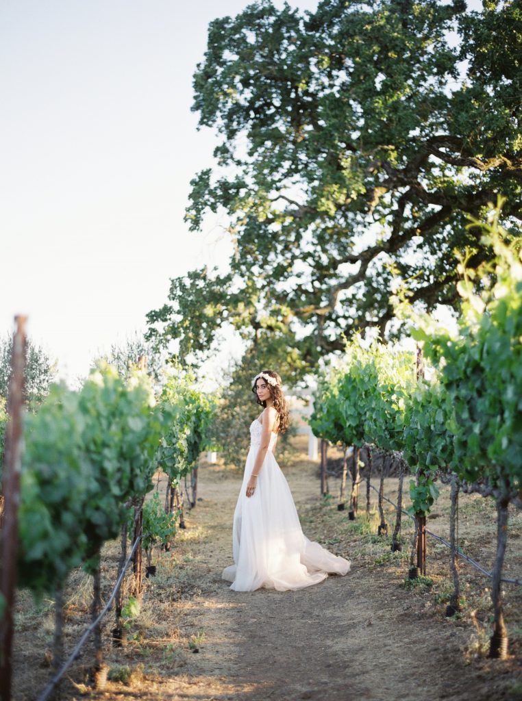 California Vineyard Wedding 