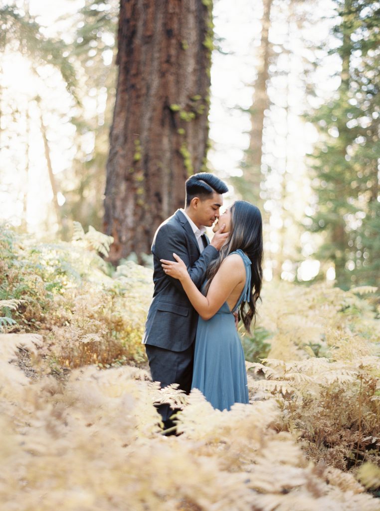 Yosemite Engagement Session in the Fall
